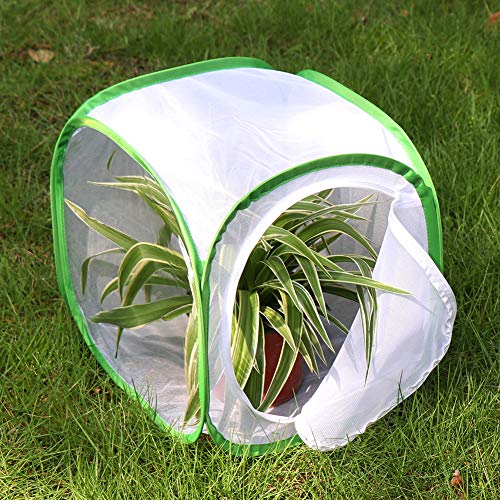 RESTCLOUD Insect and Butterfly Habitat Cage Terrarium Pop-up 12 X 12 X 12 Inches - color: White With Green, size: 12 x 12 x 12 inches