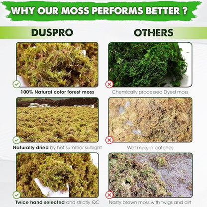 5 Oz Real Dried Forest Moss for Potted Plants, Plant Propagation | Hand-Picked & Clean, Easy to Rehydrate, Balanced Moisture, Forest Orchid Moss for Potting Mix,Moss Soil Cover for Houseplants - size: 5 Oz