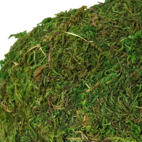 USMOLA Mossy Caves, Artificial Green Moss Caves Hide for Pet Reptile Frogs and Snakes, Terrarium & Vivarium Decor, Crested Gecko Tank Decor (6" - Woodland Green)