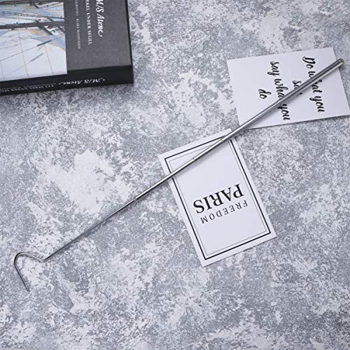 BESPORTBLE Retractable Stainless Steel Snake Hook Tool for Safe Handling of Reptiles Telescoping Design for Snake Enthusiasts and Reptile Care