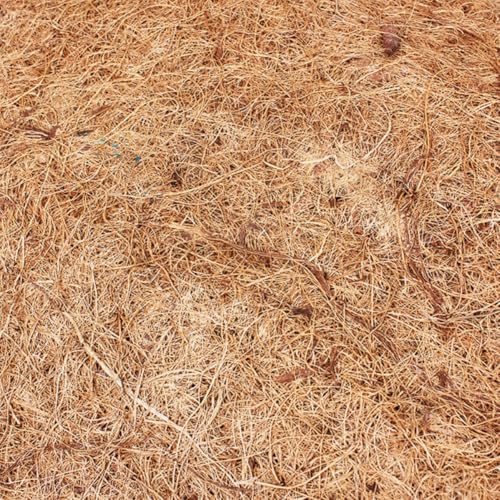 Healifty Reptile Pet Mat Bedding Liner 2pcs Natural Coconut Fiber Breathable Odorless and Anti-Performance Features for Tortoise and Reptile Pet Box for Microlandschaft Landscaping