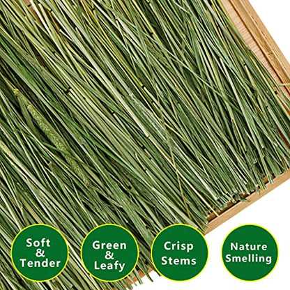 Timothy Hay Pellets 7oz and Timothy Hay 1.1LB - for Rabbits Tortoise Guinea Pig