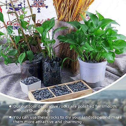 2.4lb River Rocks Pebbles for Plants & Succulents, Decorative Outdoor Landscaping & Aquarium Garden Rocks - size: 2.4LB, style: Small
