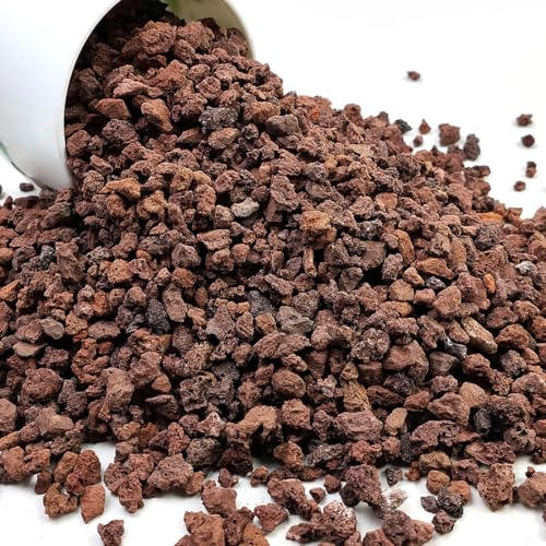 Red Horticultural Lava Rocks for Plants, 10 lb Succulents Cactus Bonsai Soil Lava Rocks for Aquarium Outdoor Decorative Stones for Craft Projects, Vase Fillers - color: Red Lava Rock, size: 10 Pounds