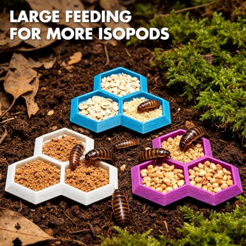 Dubia Roach Large Feeder Bowl, 5 PCS Isopod Food Dish, 3 in 1 Colorful Feeding Water Dish for Live Roach, Isopod, Springtails & Dwarf Invertebrates - color: 5 PCS Dubia Feeding Dish