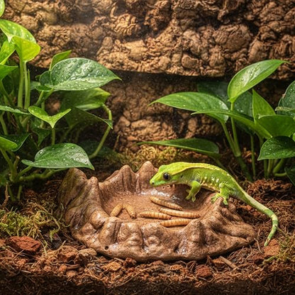 Reptile Water and Food Bowl with Feeding Tweezers Volcanic Rock Style Cement Feeding Dish for Bearded Dragon Leopard Gecko Lizard and Snake Non-Tip Terrarium Decor Landscape Accessory (Brown)