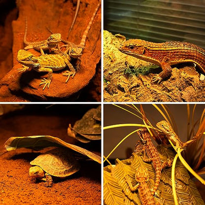 REPTI ZOO 50W Reptile Heat Lamp Bulb,2 Pack Intense Spot Basking Light,UVA Daylight Heating Lamp Bulb for Reptile & Amphibians & Chicken Brooder,Bearded Dragon, Lizard, Tortoise - style: 50W/Daylight