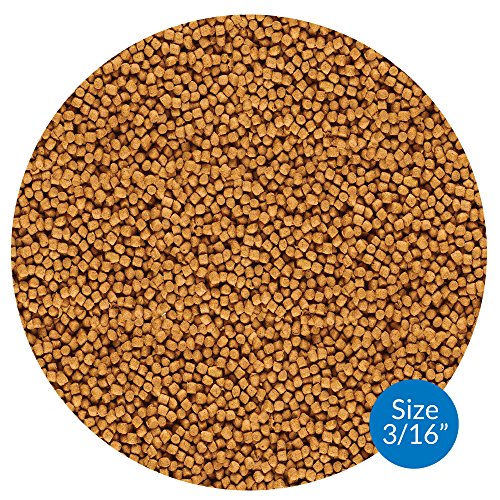API POND COOL WATER FOOD Pond Fish Food 1.40-Pound Bag