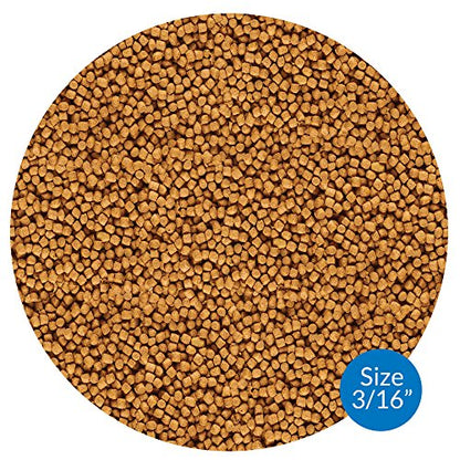 API POND COOL WATER FOOD Pond Fish Food 1.40-Pound Bag
