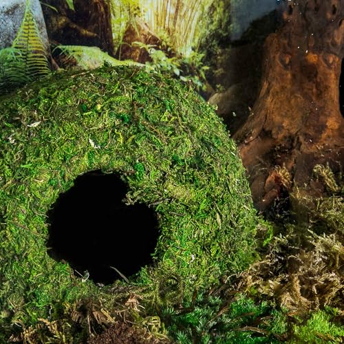 Galápagos (05344) Mossy Cave with Holes | Natural Reptile Hide for Bearded Dragons, Geckos, Snakes, Tortoises, Frogs, Hermit Crabs, and Lizards | Terrarium Decor, 7.5in Diameter
