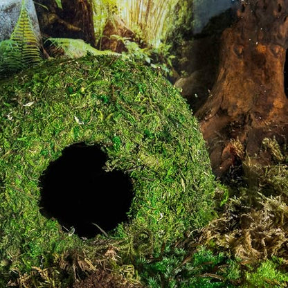 Galápagos (05344) Mossy Cave with Holes | Natural Reptile Hide for Bearded Dragons, Geckos, Snakes, Tortoises, Frogs, Hermit Crabs, and Lizards | Terrarium Decor, 7.5in Diameter
