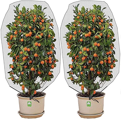Alpurple 2 Pcs Insect Bird Barrier Netting Mesh with Drawstring- 4.9 x 3.2 Ft Garden Bug Netting Plant Cover- Fruit Tree Net for Protect Plant Fruits Citrus Flower from Insect Bird Eating | 4.9 x 3.2 Ft Garden Netting Pest Barrier, Fruit Tree Net for Prot