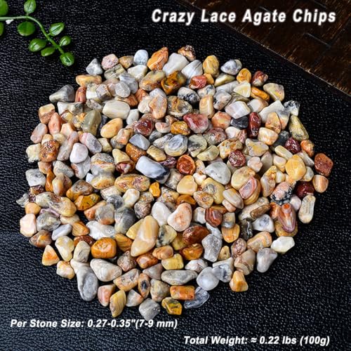 Erliway 7-9mm Crazy Lace Agate Healing Crystal Chips for Crafts, 100g | Natural Crushed Crystal Stones Tumbled Chips for Vase Filler Aquarium Gravel, Meditation Chakra Balancing, Candle DIY Making - color: Crazy Lace Agate