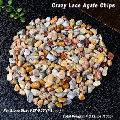 Erliway 7-9mm Crazy Lace Agate Healing Crystal Chips for Crafts, 100g | Natural Crushed Crystal Stones Tumbled Chips for Vase Filler Aquarium Gravel, Meditation Chakra Balancing, Candle DIY Making - color: Crazy Lace Agate