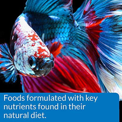 API Betta Food Fish Food Pellet .78-Ounce Container (Pack of 2) - size: 1 Ounce (Pack of 2)