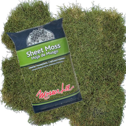 Mosser Lee ML0480 Natural Green Sheet Moss – 520 sq. in. – Organic Decorative Moss for Terrariums, Planters, Crafts & Moisture Retention - style: 520 Sqaure Inch