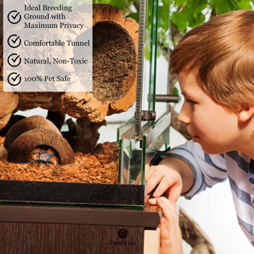 SunGrow Hermit Crab Coconut Cave, Spacious Hide Interior Habitat Comfort Zone, Ascension Coco Shelter Tank Decor Utility, Aquarium Terrarium Accessory Reptile Compatible Enclosure Feature Design