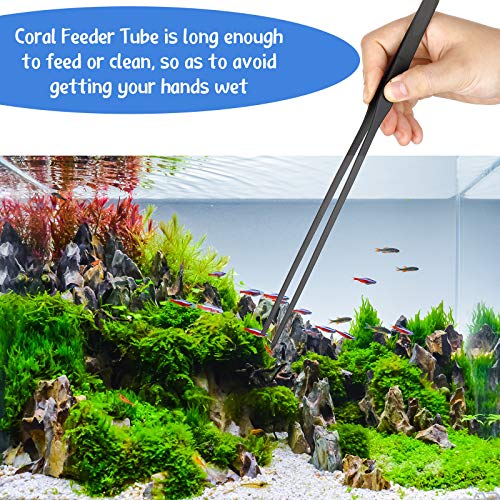 Weewooday 3 Pcs Axolotl Tank Accessories, Tweezers Syringe for Aquarium | Long Tweezer, Acrylic Coral Feeder Tube, Aquarium Tongs, Feeding Tweezers for Fish Snake Lizard Spider