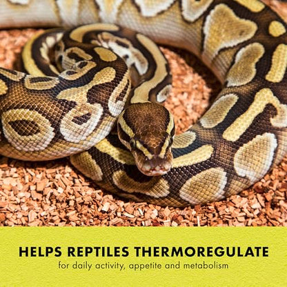 Zilla Heat Mat, Terrarium Heater for Reptiles, Snakes (Ball Pythons, Corn Snakes), Leopard Geckos, Tortoises, Amphibians and Arachnids, Medium, Fits 30-40 Gallon, 16 Watt | Terrarium Heater for Reptiles, Snakes (Ball Pythons, Corn Snakes), Leopard Geckos,