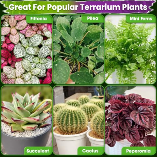 6-in-1 Terrarium Soil Mix, Pre-Mixed & Ready to Use, 8QT | Terrarium Substrate Mix with Coco Coir, Peat Moss, Pine Bark, Perlite, Pumice & Zeolite for Balanced Moisture & Airflow - size: Terrarium Soil 8 Quarts
