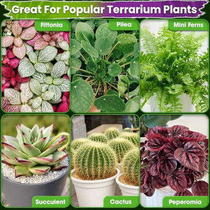 6-in-1 Terrarium Soil Mix, Pre-Mixed & Ready to Use, 8QT | Terrarium Substrate Mix with Coco Coir, Peat Moss, Pine Bark, Perlite, Pumice & Zeolite for Balanced Moisture & Airflow - size: Terrarium Soil 8 Quarts