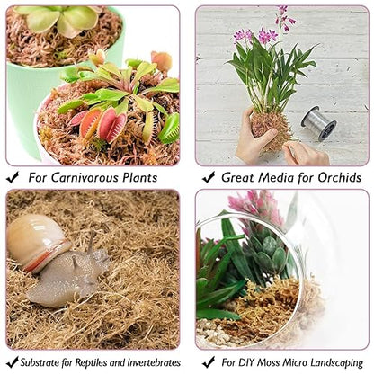 Halatool 3.3 LB Sphagnum Moss for Plants, 60 QT Long Fiber Orchid Moss | Drainage & Moisture Retention, Natural Moss for Ferns, Succulents, Carnivorous, Orchid Repotting, Terrariums, Reptile Bedding - size: 60 qt (3.3 lbs)
