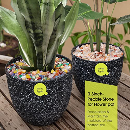RIFNY Decorative Polished Rocks, 0.3" Gravel Rocks Crushed Crystal for Plant Flower Pots Succulents Cactus Bamboo Plant Vase Filler Aquarium Fish Tank Decorations and DIY Craft (1.5 LB, Color) | for Plant Flower Pots Succulents Cactus Plant Vase Filler Aq