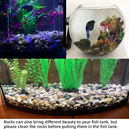 Pebbles for Plants 3 lb Natural Garden Decorative Stone Outdoor Aquariums Gravel 1-1.5 Inches - size: 3LB, style: Colour