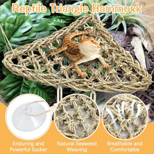 BNOSDM Reptile Wood Hideout Bridge Flexible Hammock 3PCS Reptile Habitat Accessory Set Bearded Dragan Tank Accessaries for Lizard Turtle Hermit Crabs Ball Python Gecko