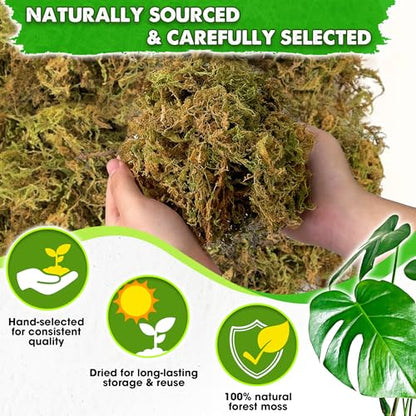 5 Oz Real Dried Forest Moss for Potted Plants, Plant Propagation | Hand-Picked & Clean, Easy to Rehydrate, Balanced Moisture, Forest Orchid Moss for Potting Mix,Moss Soil Cover for Houseplants - size: 5 Oz