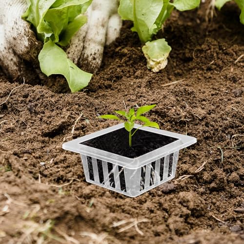 20pcs Square Mesh Hydroponic Planting Pots Efficient Drainage System Root Fixer Baskets for Gardening for Vegetables and Flowers