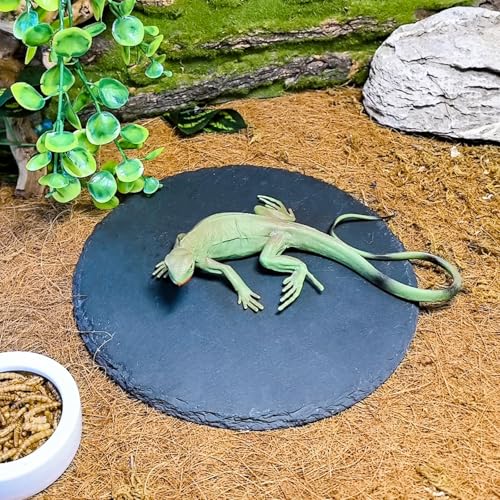 Tfwadmx Reptile Basking Platform,7.8IN Tortoise Rock Slate Plate Feeding Food Bowl Dish Turtle Bathing Resting Terrace for Lizard Bearded Dragon Chameleon Gecko Snake Frog Newt - size: 7.8inch(1pcs)