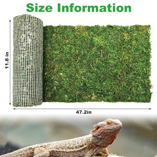 kathson Reptile Carpet, Natural Moss Mat for Terrarium, Bearded Dragon Tank Flooring Green Substrate Liner for Leopard Gecko Hermit Crab Lizard Tortoise (47.24" X 11.81")