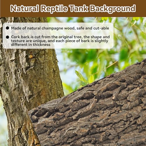 2PCS Natural Cork Terrarium Background,11.81 x 11.81 Inch Reptile Bark Background 3D Bearded Dragon Tank Climbing Mat Habitat Decoration for Lizard Gecko Chameleon Tortoise Snake Spider Frog - size: 【11.81 x 11.81 In】
