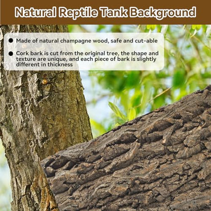 2PCS Natural Cork Terrarium Background,11.81 x 11.81 Inch Reptile Bark Background 3D Bearded Dragon Tank Climbing Mat Habitat Decoration for Lizard Gecko Chameleon Tortoise Snake Spider Frog - size: 【11.81 x 11.81 In】