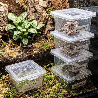 30 Pcs Insect Spider Terrariums Transparent Breeding Box Plastic Hatching Container for Tarantula Spider Scorpion Centipede Mantis