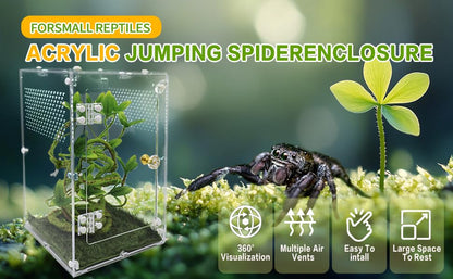 Jumping Spider Enclosure 6x6x10 Inch, Front Opening Tarantula Enclosure | for Spiders Tarantulas & Insects, Reptile Terrarium