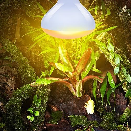 REPTI ZOO Reptile Heat Lamp Bulb 150W,2 Pack Neodymium Basking Spot Light, UVA Daylight Heating Lamp for Amphibian & Chicken Brooder | Simulated Natural Sunlight for Bearded Dragon,Lizard,Tortoise - style: 150W/Neodymium Daylight