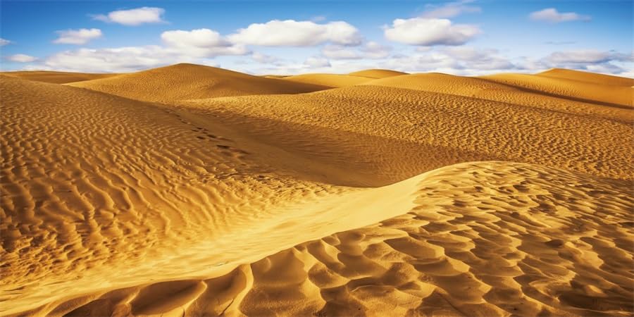 YongFoto Reptile Terrarium Background 48x18 inch, Sand Dunes Desert Blue Sky Tropical Scenery, Polyester Fabric, Includes Double-Sided Tape - size: 48x18in/120x45cm