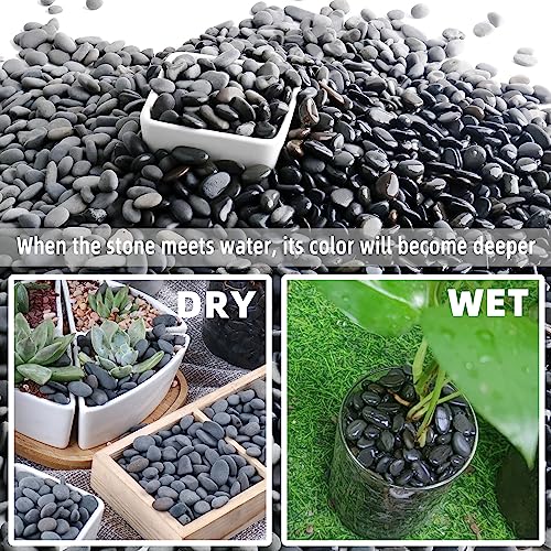 2.4lb River Rocks Pebbles for Plants & Succulents, Decorative Outdoor Landscaping & Aquarium Garden Rocks - size: 2.4LB, style: Small
