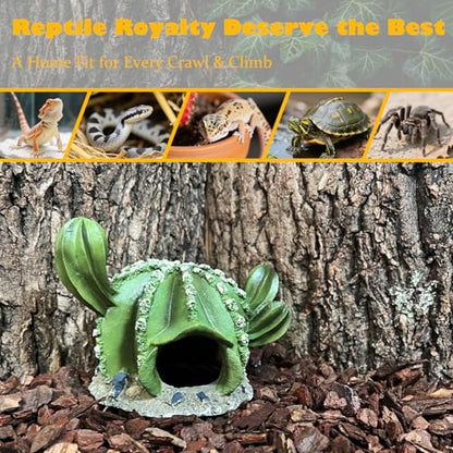 Cactus Reptile Hide Caves Lizard Bearded Dragon Leopard Gecko Hideout Terrarium Tank Accessories Turtle Snake Décor Amphibian Habitat Tortoise Personalized Decoration - style: CACTUS