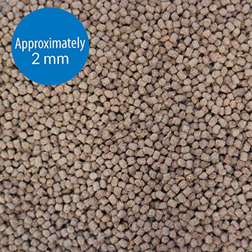 API Betta Food Fish Food Pellet .78-Ounce Container (Pack of 2) - size: 1 Ounce (Pack of 2)