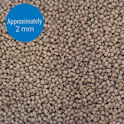 API Betta Food Fish Food Pellet .78-Ounce Container (Pack of 2) - size: 1 Ounce (Pack of 2)