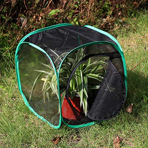 RESTCLOUD Insect and Butterfly Habitat Cage Terrarium Pop-up 12 X 12 X 12 Inches - color: Black With Green, size: 12 x 12 x 12 inches
