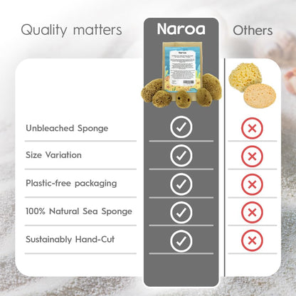 Naroa Natural Hermit Crab Sponges - Pack of 5 | Unbleached Sea Sponge for Water Drinking Safety | Aquarium Decor Balance Tank Humidity | Crab Supplies Accessories