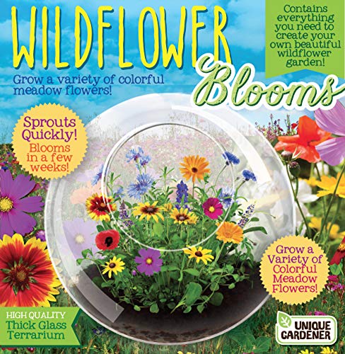 Blossom Your Own Wild Flower Glass Terrariums by Unique Gardener, Terrarium Starter Kit with Complete Supplies, Quick Blooms, Easy Care Ideal for Indoor Plant Home or Office! - style: Wildflowers