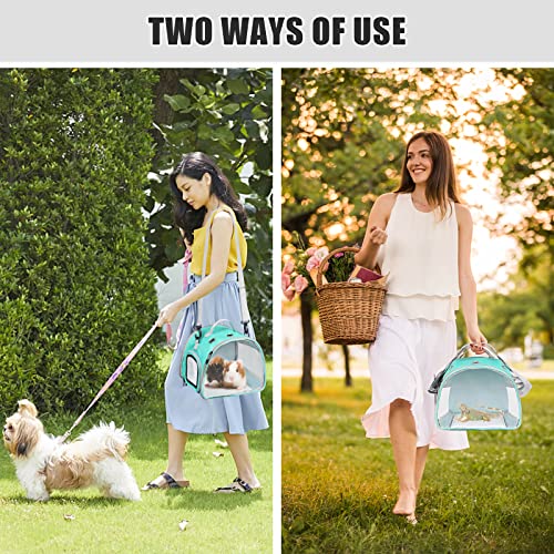 Small Animal Carrier Bag, Upgraded Portable Guinea Pig Carriers, Transparent Hamster Carrying Case, Reptile Rat Rabbit Bearded Dragon Hedgehog Carrier Bag for Travel, Hiking, Walking, Outdoor (Green) - color: Green