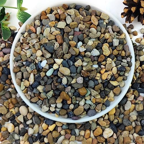 2lbs Natural River Rocks, 1/4" Aquarium Gravel Succulent Cactus | Pea Gravel for Plants, Fish Tank, Decorative Pebbles for Gardening, Flower Pots, Vase, Indoor Water Fountains, Landscaping - size: 1/4 Inch