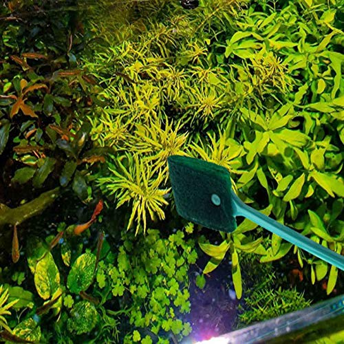 3 PCS Double-Sided AOODOOM Aquarium Fish Tank Algae Cleaning Brush with Non-Slip Handle, Sponge Scrubber Cleaner for Glass Aquariums and Home Kitchen
