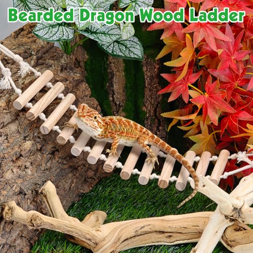 BNOSDM 2 Pcs Reptile Bridge Gecko Climbing Ladder Bearded Dragon Hammock with Suction Cup Wooden Basking Lounger Leopard Gecko Tank Accessories for Lizard, Hermit Crab, Frog, Snake - color: 2pcs-Solid wood
